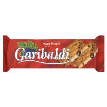 Garibaldi Image