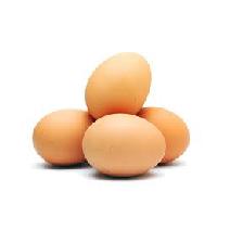 Large Free Range Eggs Image